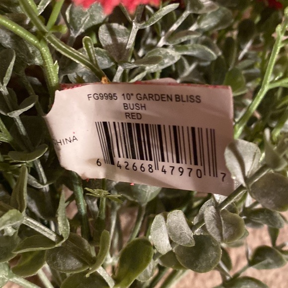 Garden Bush Pick Red - Picture 5 of 5